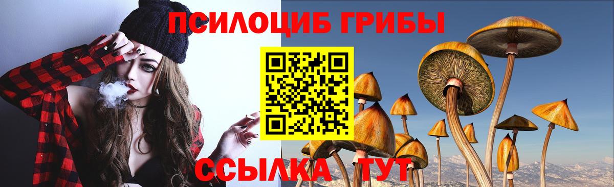 Псилоцибиновые грибы мицелий  Вход с VPN  Киселёвск  Галлюциногенные грибы Cubensis 